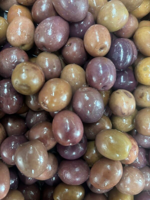 Olive Greche